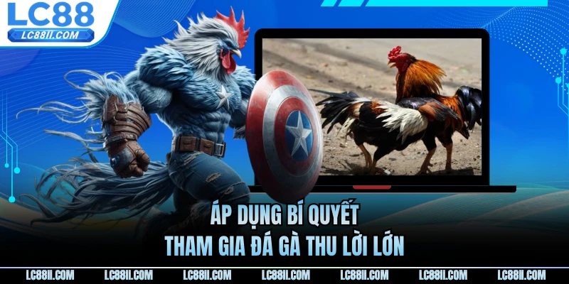 Áp dụng bí quyết tham gia đá gà thu lời lớn