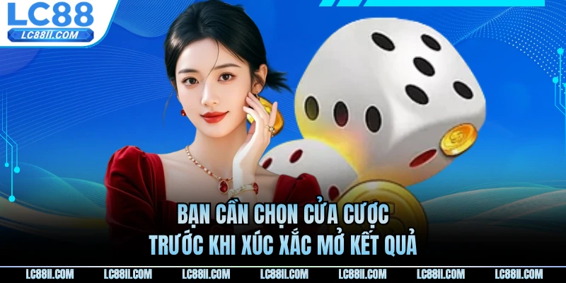 Bạn cần chọn cửa cược trước khi xúc xắc mở kết quả
