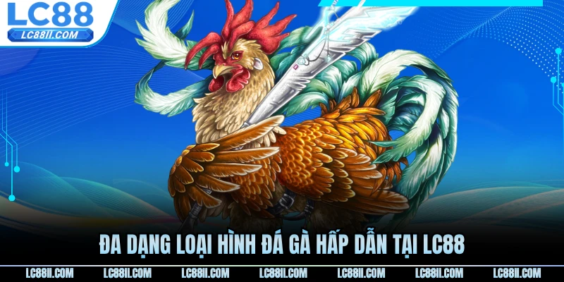 Đa dạng loại hình đá gà hấp dẫn tại LC88