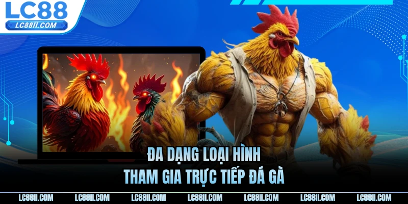 Đa dạng loại hình tham gia trực tiếp đá gà