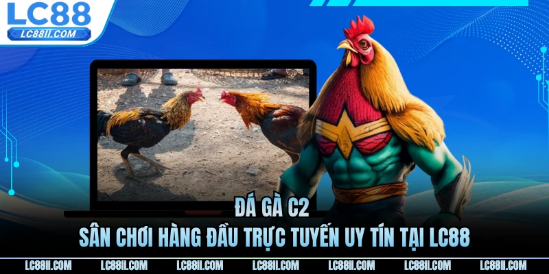 Đá Gà C2 - Sân Chơi Hàng Đầu Trực Tuyến Uy Tín Tại LC88