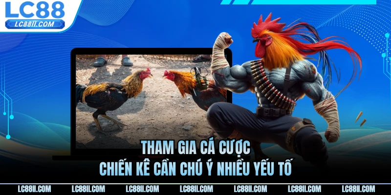 Tham gia cá cược chiến kê cần chú ý nhiều yếu tố